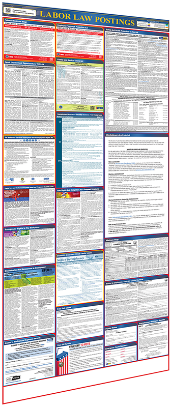 Generic-Labor-Law-Poster-without-QR-Code-600px